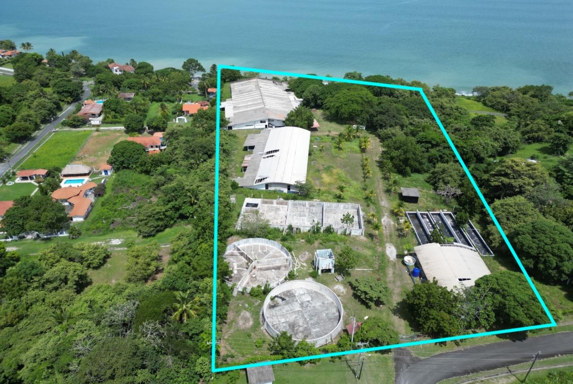 PLAYA COSTA ESMERALDA | 3 HECTÁREAS FRENTE AL MAR – UNA OPORTUNIDAD ÚNICA PARA DESARROLLO O INVERSIÓN