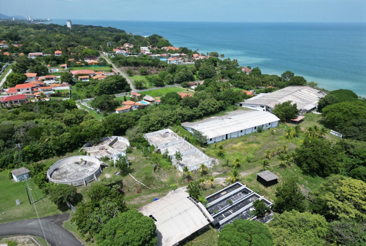 PLAYA COSTA ESMERALDA | 3 HECTÁREAS FRENTE AL MAR – UNA OPORTUNIDAD ÚNICA PARA DESARROLLO O INVERSIÓN