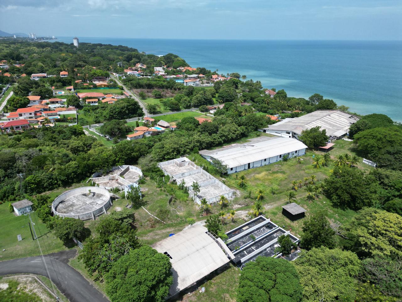 PLAYA COSTA ESMERALDA | 3 HECTÁREAS FRENTE AL MAR – UNA OPORTUNIDAD ÚNICA PARA DESARROLLO O INVERSIÓN